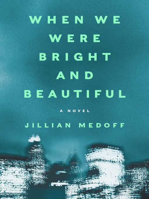 Title details for When We Were Bright and Beautiful: a Novel by Jillian Medoff - Wait list